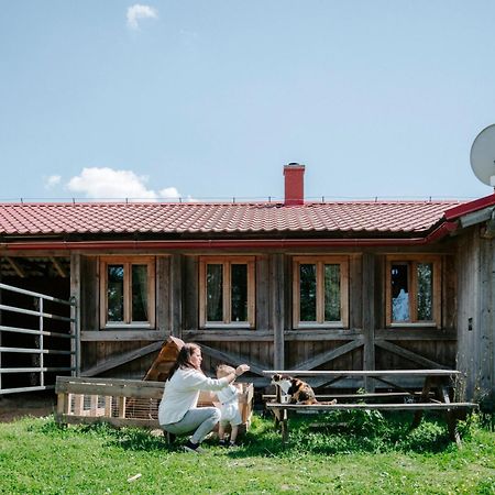Apartman Na Ranci Pod Lovosem Velemin Bagian luar foto